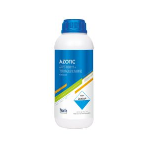 Azotic