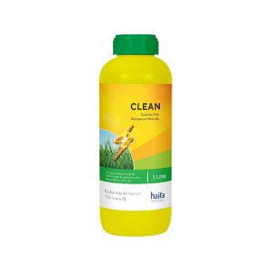 Clean