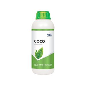 Coco