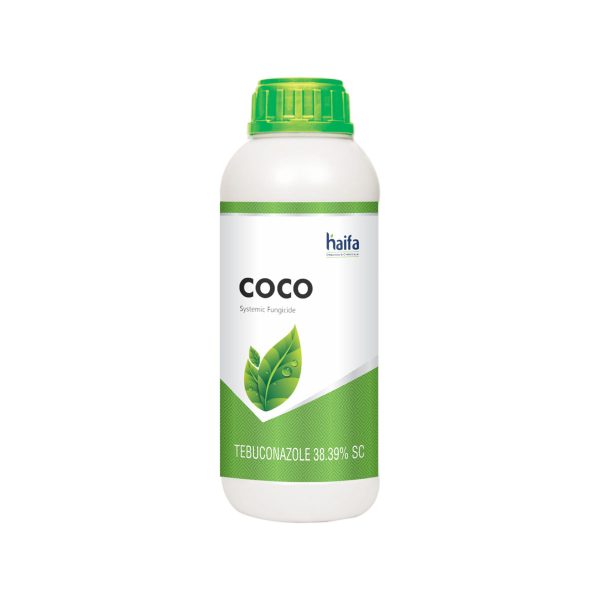 Coco