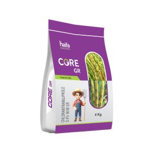 Core GR