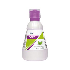 Core