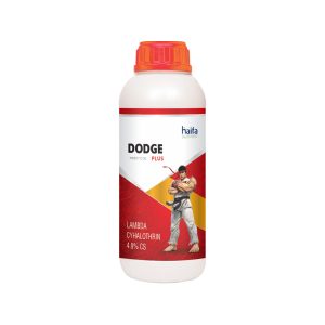 Dodge Plus
