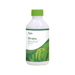 Drako