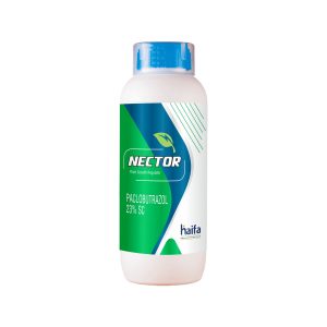 Nector
