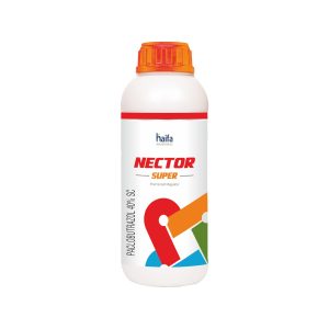 Nector Super