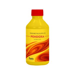 Pendoxa