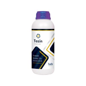 Tazin