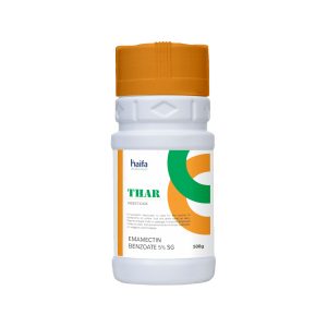 Thar